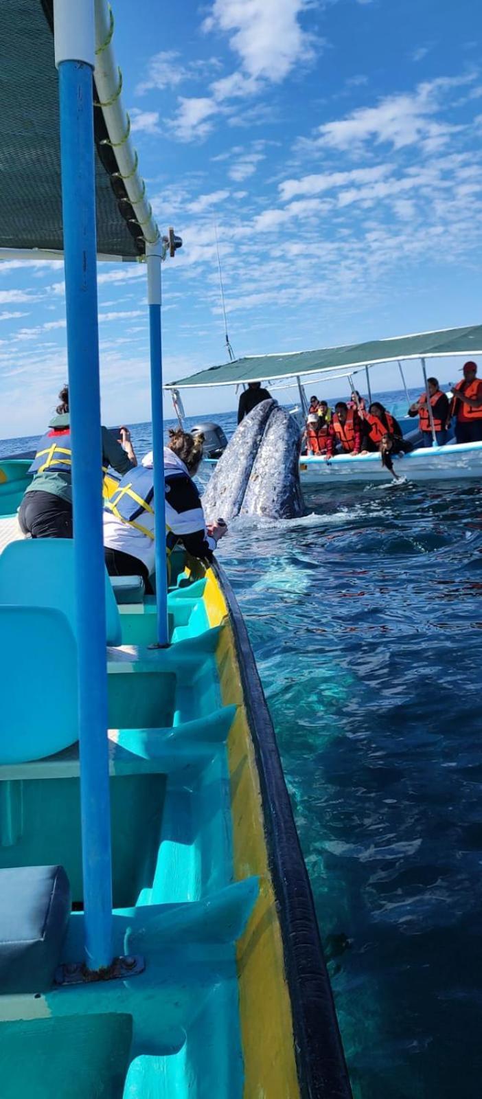 Hotel- Whale Tours And Sport Fishing Vista Mag-Bay Puerto San Carlos Exterior foto